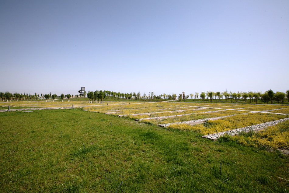 新疆巴州和碩濱河公園