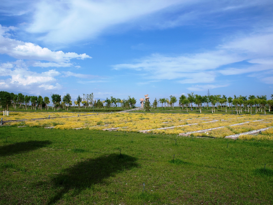 新疆巴州和碩濱河公園