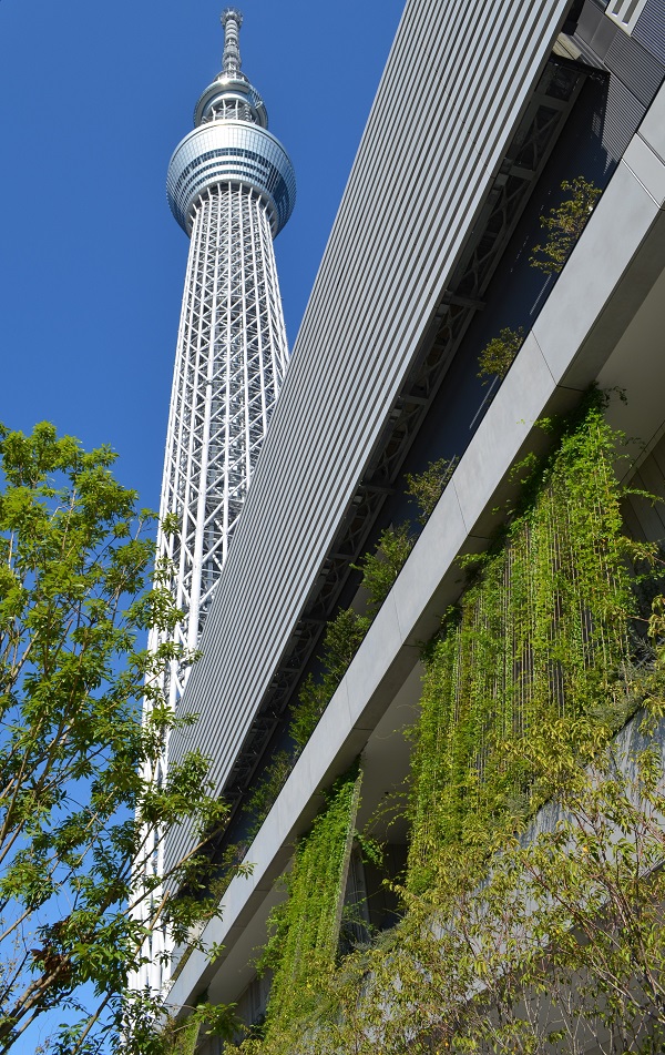 案例賞析：東京晴空塔小鎮(zhèn)