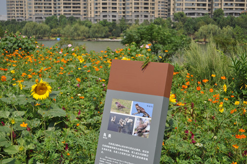 園冶杯專業獎：鹿鳴公園景觀工程