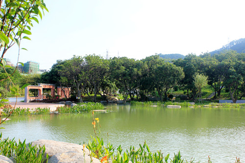 園冶杯專業獎：草庵公園荷花池核心區景觀設計