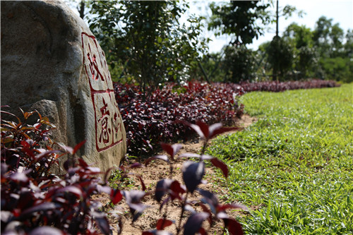 園冶杯專業獎：不忘初心·共建紅林